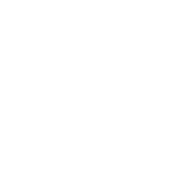 SEO Reporting